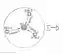 Fig. 01 - Transmission opportunity operation of uplink multi-user multiple-input-multiple-output communication in wireless networks