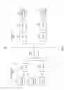 Fig. 02 - RETRANSMISSION TIMER IN A HIGH SPEED DATA NETWORK