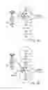 Fig. 09 - Establishing multiple connections between a user equipment and wireless access network nodes