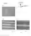 Fig. 09 - Nitride semiconductor structure, multilayer structure, and nitride semiconductor light-emitting element