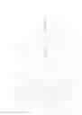 Fig. 06 - Diversity Reception and Transmission in LTE Communication Systems