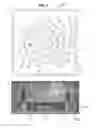 Fig. 03 - Rodent Ionizing Radiation Treatment Device