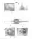Fig. 05 - Rodent Ionizing Radiation Treatment Device