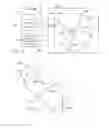 Fig. 02 - METHOD AND APPARATUS PERTAINING TO IRRADIATING A TREATMENT VOLUME WHILE MAINTAINING THE TREATMENT VOLUME A PREDETERMINED OFFSET DISTANCE FROM THE RADIATION-TREATMENT ISOCENTER