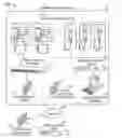 Fig. 01 - Individual location tracking in detention environments