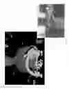 Fig. 06 - Three dimensional fingertip tracking