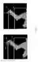 Fig. 09 - Three dimensional fingertip tracking