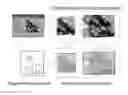 Fig. 01 - Selective max-pooling for object detection