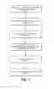 Fig. 02 - Method for efficient digital subtraction angiography