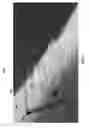 Fig. 07 - Systems and methods for recognizing information in objects using a mobile device