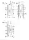 Fig. 06 - Child resistant pouch having recloseable zipper and methods