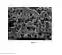 Fig. 02 - Optical element for Mie scattering light from an optical fiber