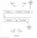 Fig. 06 - Method and apparatus for modifying the presentation of content