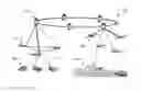 Fig. 01 - Free-space optical network with agile beam-based protection switching