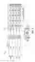 Fig. 08 - Apparatus and method for forward error correction over a communication channel