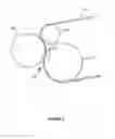 Fig. 04 - Transfer roll assembly for an electrophotographic image forming device