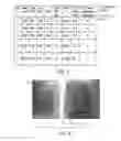 Fig. 05 - Rail re-profiling method and apparatus
