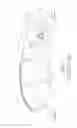 Fig. 07 - AIR PUMP