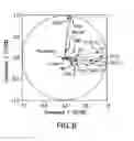 Fig. 07 - METHODS FOR THE EARLY DETECTION OF LUNG CANCER