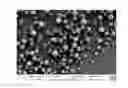 Fig. 01 - Polymeric depots for localization of agent to biological sites