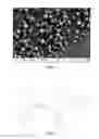 Fig. 02 - Polymeric depots for localization of agent to biological sites