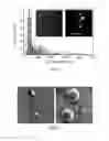 Fig. 04 - Polymeric depots for localization of agent to biological sites