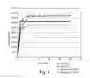 Fig. 02 - Surface-treated calcium phosphate particles suitable for oral care and dental compositions