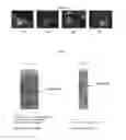 Fig. 06 - Compositions and methods for the production and delivery of double stranded RNA