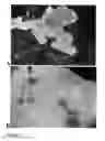 Fig. 08 - Self-gelling alginate systems and uses thereof