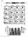 Fig. 02 - CD123-specific chimeric antigen receptor redirected T cells and methods of their use