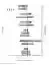 Fig. 07 - Nucleotide-specific recognition sequences for designer TAL effectors