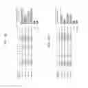 Fig. 40 - Nucleotide-specific recognition sequences for designer TAL effectors