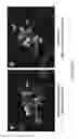 Fig. 41 - Nucleotide-specific recognition sequences for designer TAL effectors
