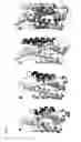 Fig. 09 - Interferon alpha and omega antibody antagonists