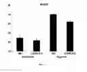 Fig. 02 - METHODS AND PHARMACEUTICAL COMPOSITIONS FOR TREATMENT OF PULMONARY HYPERTENSION