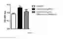 Fig. 06 - METHODS AND PHARMACEUTICAL COMPOSITIONS FOR TREATMENT OF PULMONARY HYPERTENSION