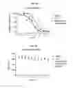 Fig. 09 - Prefusion RSV F proteins and their use