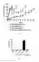 Fig. 07 - Lipid vesicle compositions and methods of use