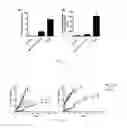 Fig. 08 - Lipid vesicle compositions and methods of use