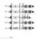 Fig. 02 - RECOMBINANT SELF-REPLICATING POLYCISTRONIC RNA MOLECULES