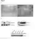 Fig. 02 - Methods of treating colorectal cancer