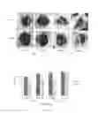 Fig. 07 - Therapeutic compositions for bone repair