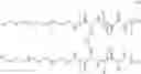 Fig. 596 - COPOLYMERS FOR STABLE MICELLE FORMULATIONS