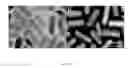 Fig. 23 - Multifunctional metal nanoparticles having a polydopamine-based surface and methods of making and using the same