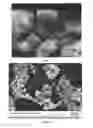 Fig. 02 - High Cleaning Silica with Low Abrasion and Method for Making Same