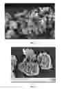 Fig. 03 - High Cleaning Silica with Low Abrasion and Method for Making Same