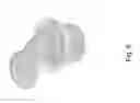 Fig. 09 - Edible Utensil and Method of Producing The Same
