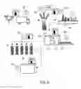 Fig. 07 - CONSUMER ORIENTED SYSTEM FOR DELIVERY OF PRODUCT INCLUDING SINGLE-SERVING PACKAGE FOR PRESERVATIVE-FREE FROZEN FRUIT PIECES