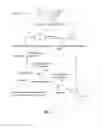 Fig. 02 - Method to inhibit storage browning in cheese