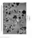 Fig. 06 - Cheese Anticake for Enhanced Melt